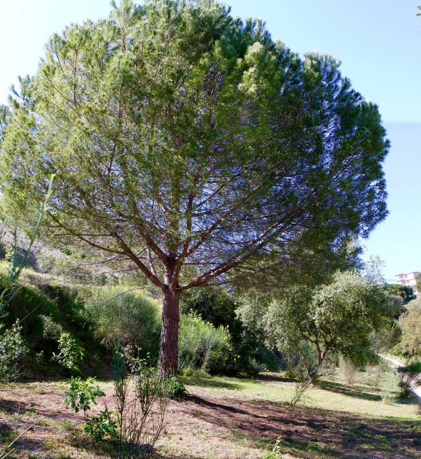 La Coulina Villa Nice Buitenkant foto