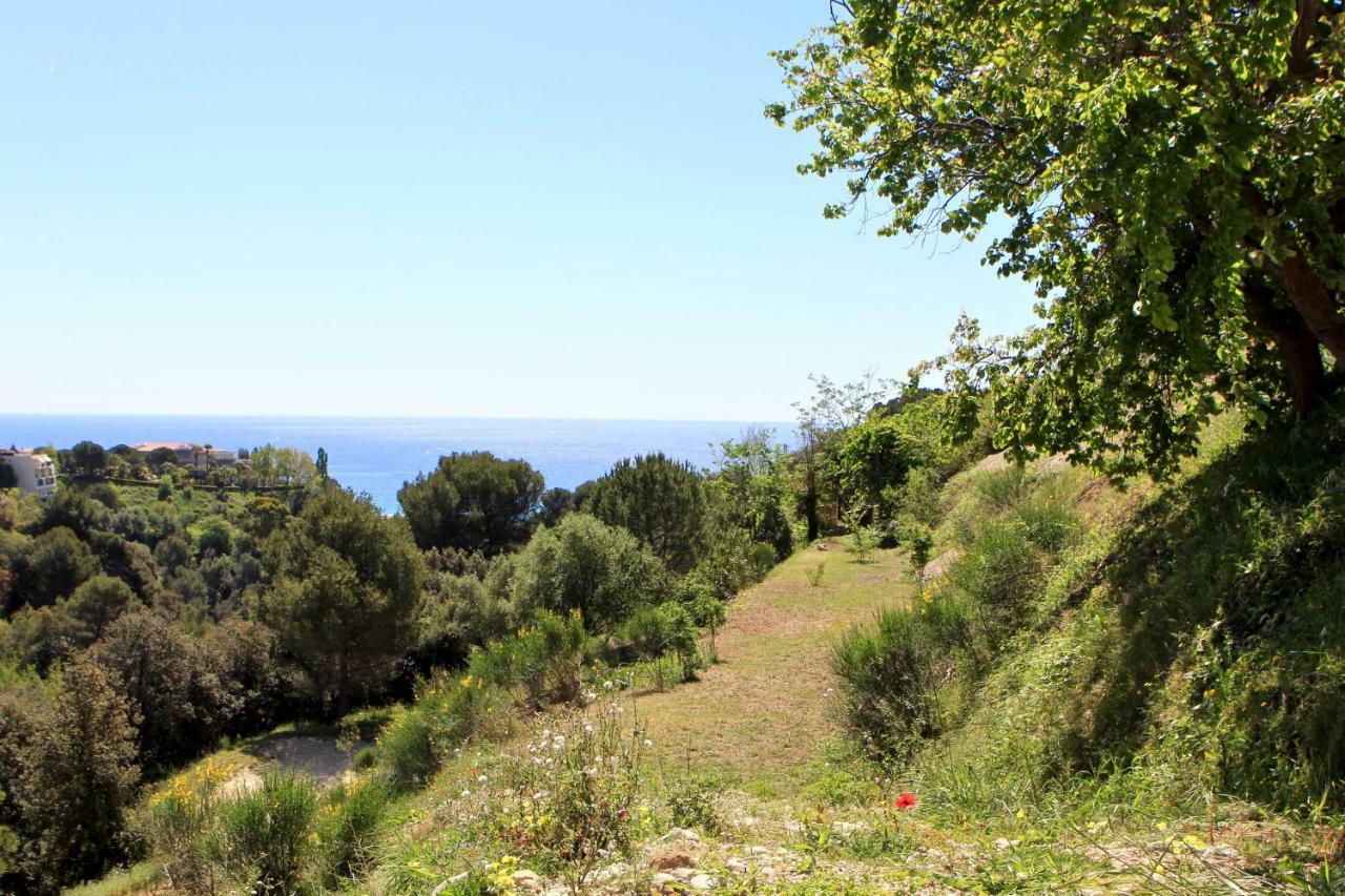La Coulina Villa Nice Buitenkant foto